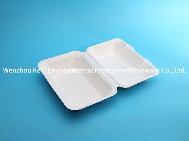 biodegradable food container 9x6x3 inch