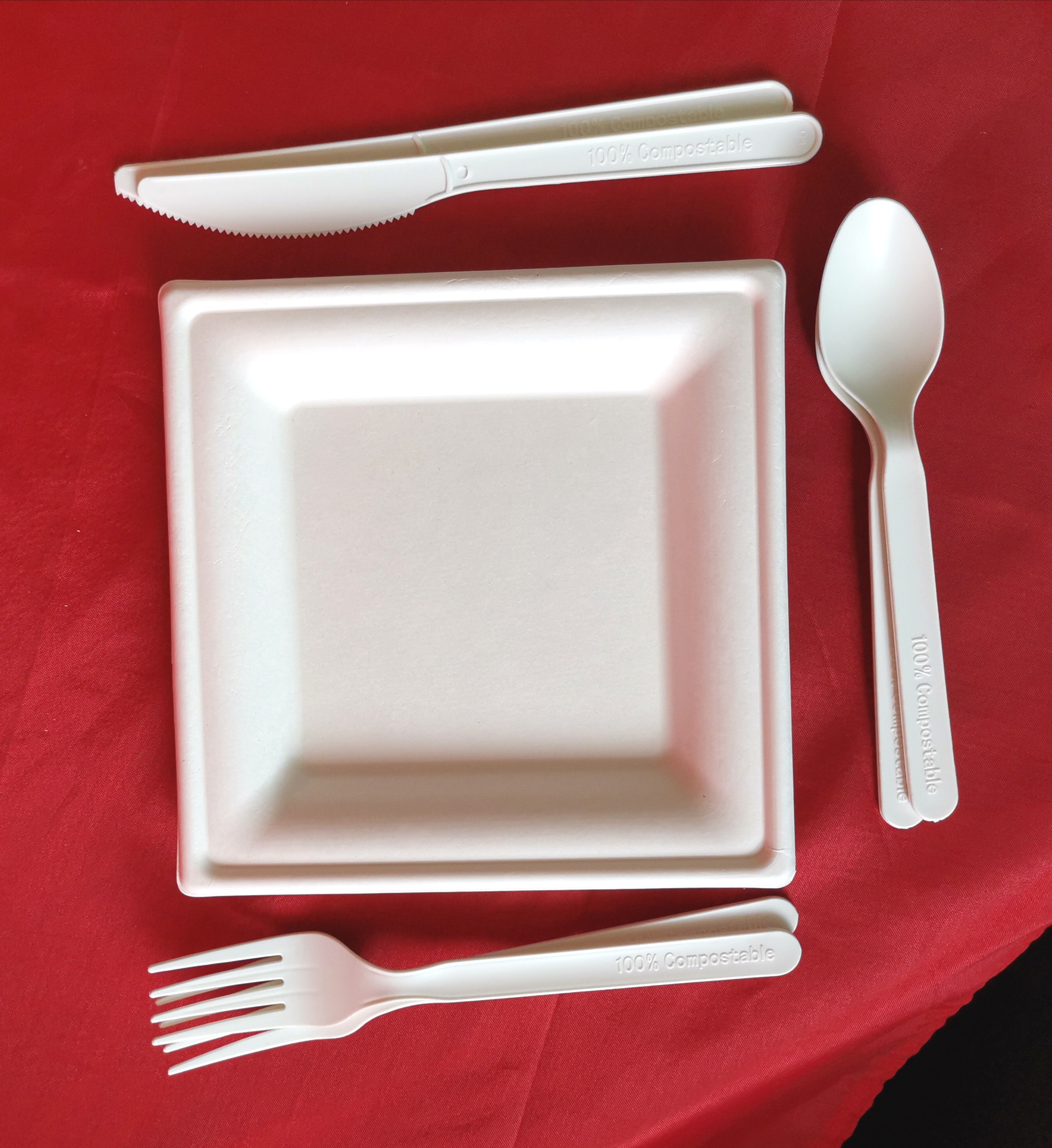 100% compostable pla biodegradable disposable cutlery 