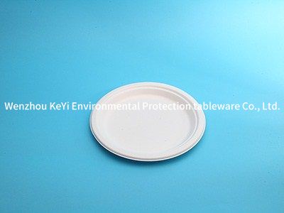 biodegradable compostable sugarcane disposable paper plate 10in