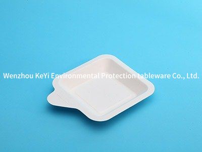 biodegradable disposable cake tray