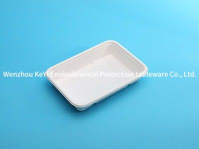 Biodegradable rice container P-11
